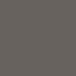 Terranova Matte Lacquer