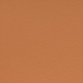 F09 Hard Leather