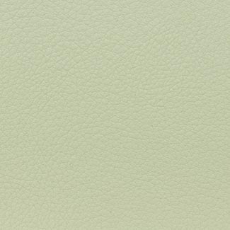 E0VI Pastel Green Eco Leather