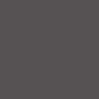 Anthracite Matte Lacquer