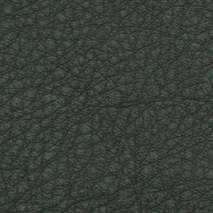 F619 Wood Green Burt Leather