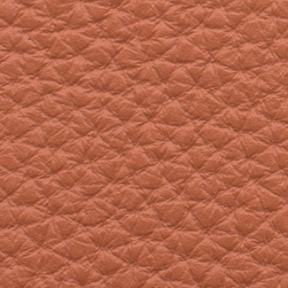 E926 Salmon Pampas Leather
