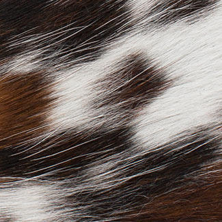 J110 Tri-Color Pony Leather