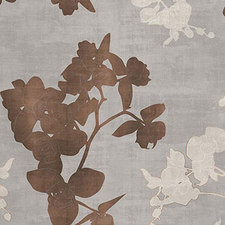 2005 Decor Graphic
