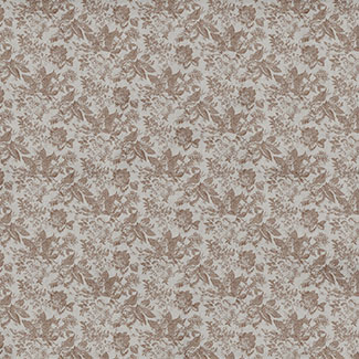 2007 Decor Graphic