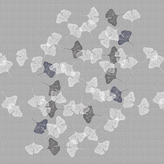 207 Decor Graphic