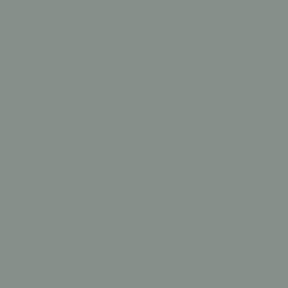 Argilla Lacquer