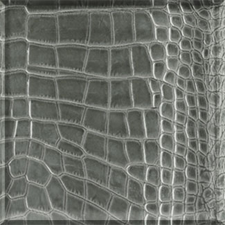 Coccodrillo Verde Polished Xglass