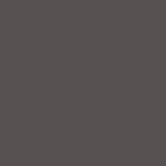 161 Mud Brown Matte Lacquer