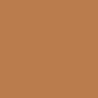 170 Terracotta Matte Lacquer