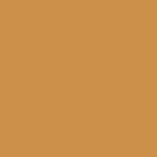 169 Turmeric Matte Lacquer