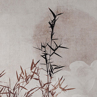 V1001 Decor Graphic